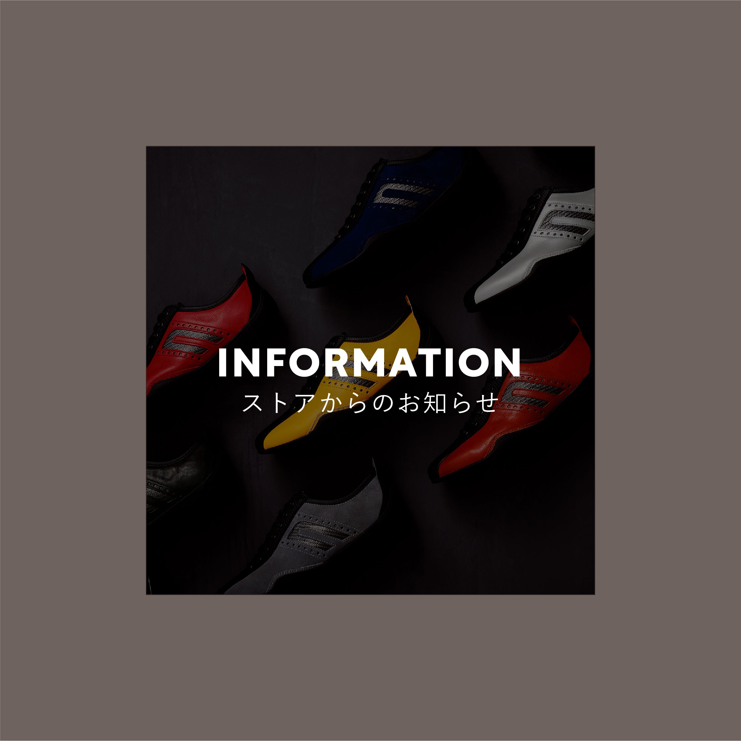 新しいニュースレターが配信スタート