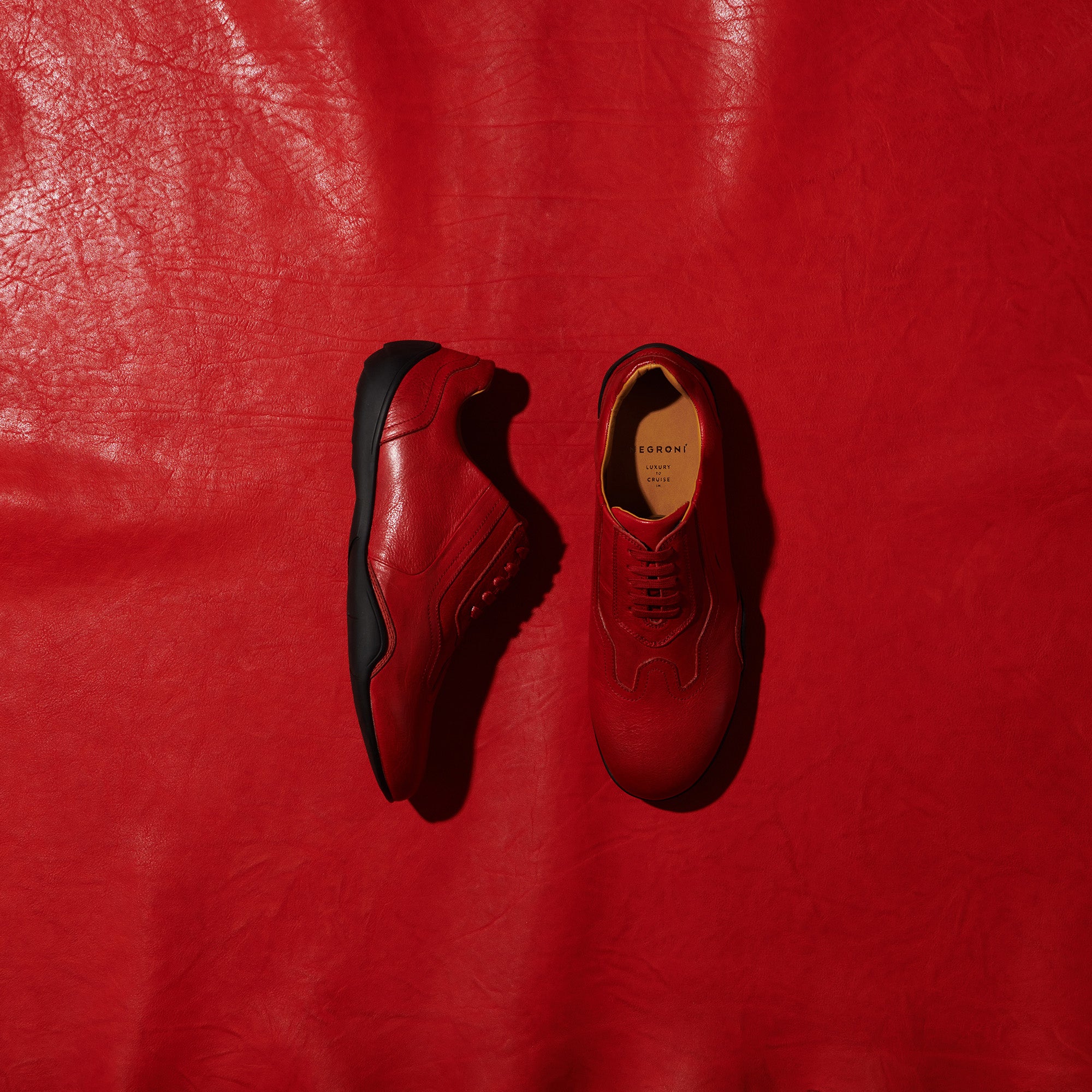 心を揺さぶる色彩