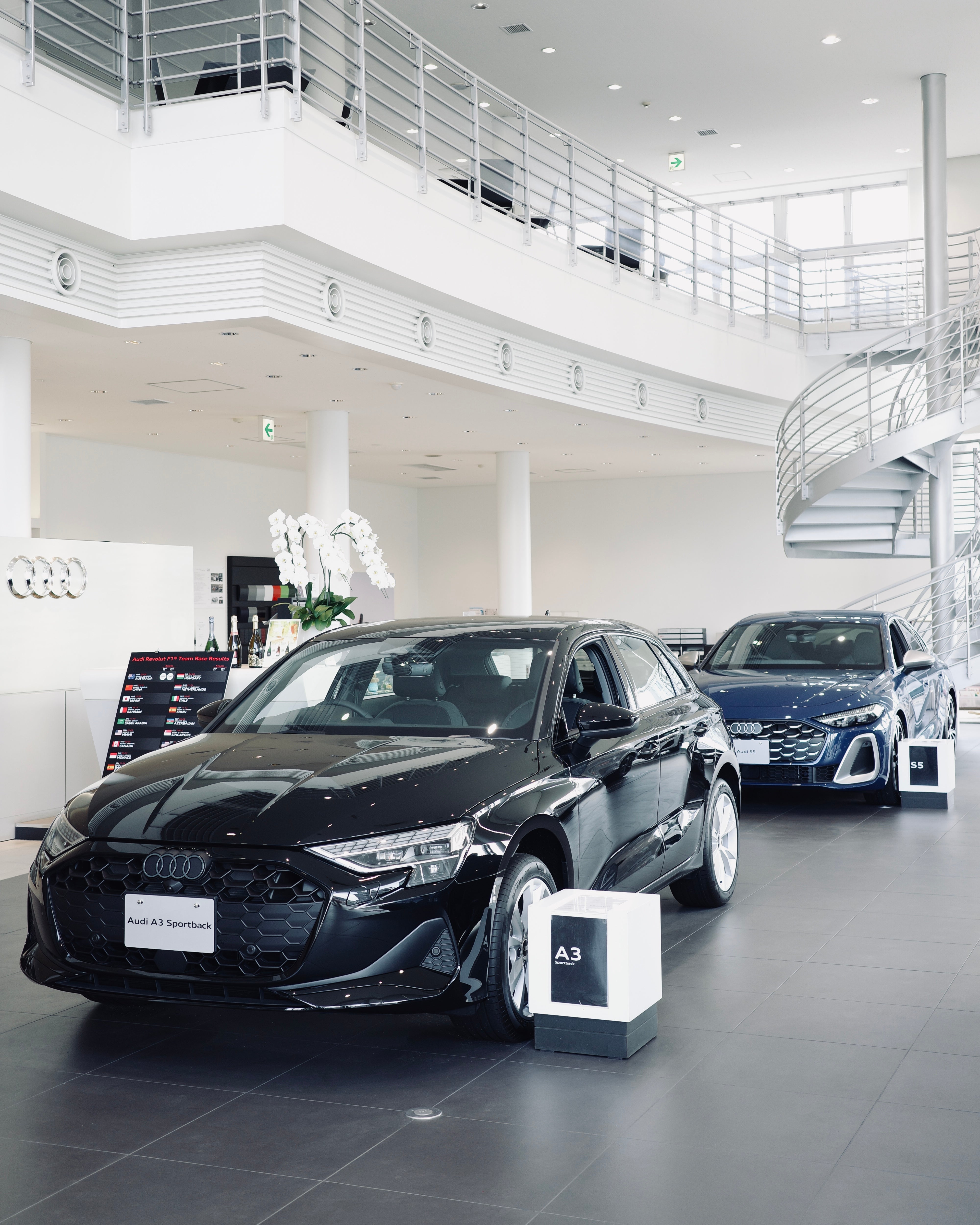 NEGRONI Driving Shoes Order Event at Audi札幌西