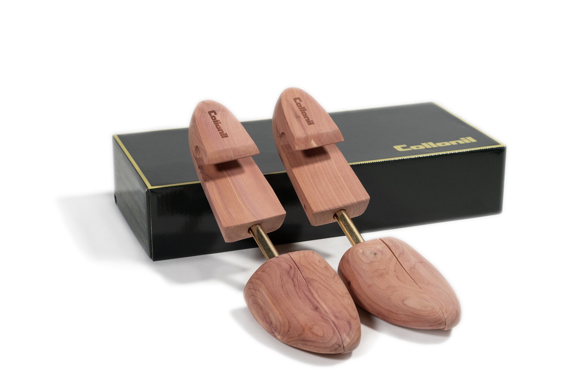 コロニル アロマッティック シーダーシュートゥリー